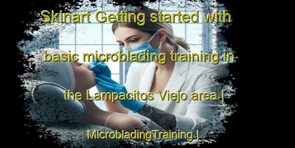 Skinart Getting started with basic microblading training in the Lampacitos Viejo area | MicrobladingTraining | MicrobladingClasses | SkinartTraining-Mexico